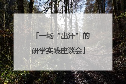 一场“出汗”的研学实践座谈会