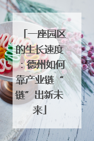 一座园区的生长速度：德州如何靠产业链“链”出新未来