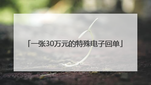 一张30万元的特殊电子回单