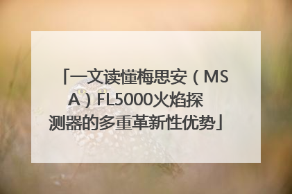一文读懂梅思安（MSA）FL5000火焰探测器的多重革新性优势