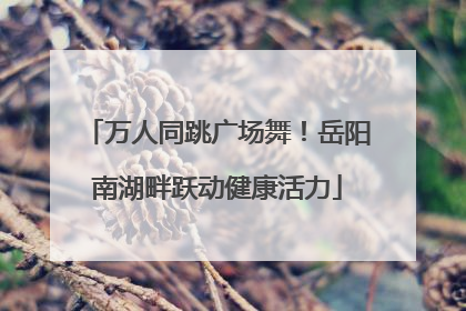 万人同跳广场舞！岳阳南湖畔跃动健康活力