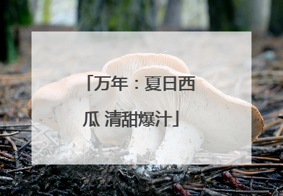 万年：夏日西瓜 清甜爆汁