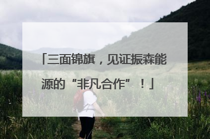 三面锦旗，见证振森能源的“非凡合作”！