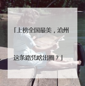 上榜全国最美，沧州这条路凭啥出圈？