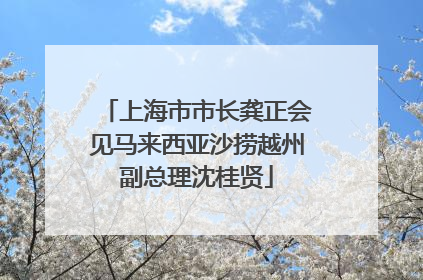 上海市市长龚正会见马来西亚沙捞越州副总理沈桂贤