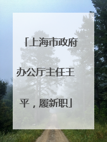 上海市政府办公厅主任王平，履新职