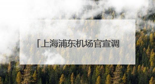 上海浦东机场官宣调整：国际港澳台出发24小时通关！睡眠舱和淋浴间也来了