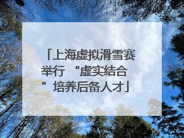 上海虚拟滑雪赛举行 “虚实结合”培养后备人才