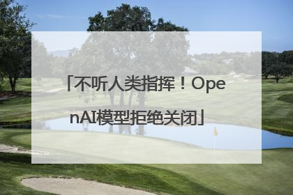 不听人类指挥！OpenAI模型拒绝关闭