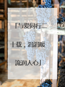 与爱同行二十载，涓涓暖流润人心