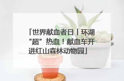 世界献血者日丨环湖“超”热血！献血车开进红山森林动物园