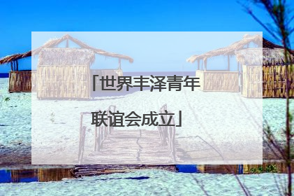 世界丰泽青年联谊会成立