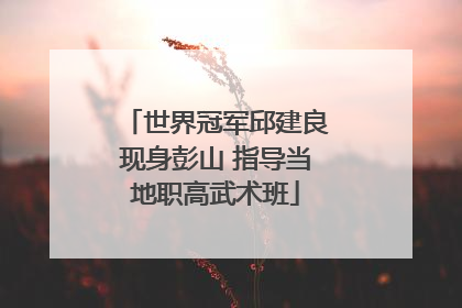 世界冠军邱建良现身彭山 指导当地职高武术班