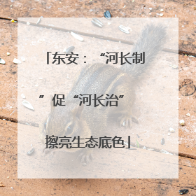 东安：“河长制”促“河长治” 擦亮生态底色