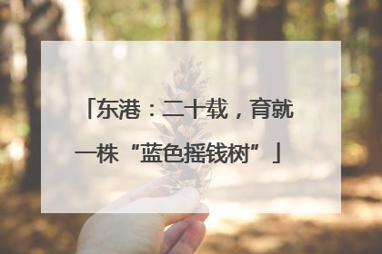 东港：二十载，育就一株“蓝色摇钱树”