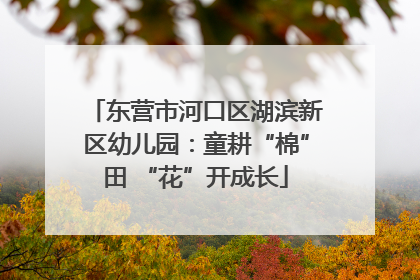 东营市河口区湖滨新区幼儿园：童耕“棉”田 “花”开成长