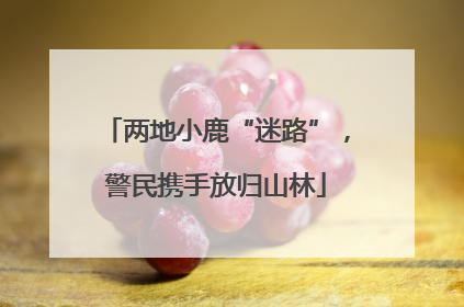 两地小鹿“迷路”，警民携手放归山林