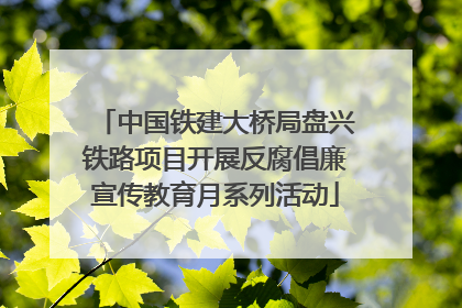 中国铁建大桥局盘兴铁路项目开展反腐倡廉宣传教育月系列活动