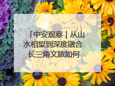 中安观察｜从山水相望到深度融合 长三角文旅如何携手出圈？