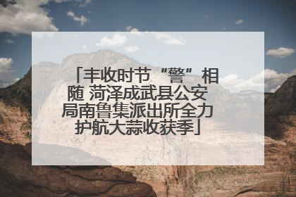 丰收时节“警”相随 菏泽成武县公安局南鲁集派出所全力护航大蒜收获季