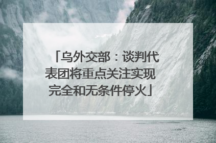 乌外交部：谈判代表团将重点关注实现完全和无条件停火