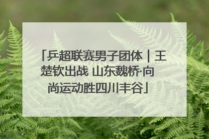 乒超联赛男子团体｜王楚钦出战 山东魏桥·向尚运动胜四川丰谷