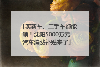 买新车、二手车都能领！沈阳5000万元汽车消费补贴来了