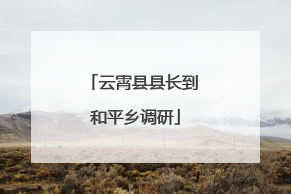 云霄县县长到和平乡调研