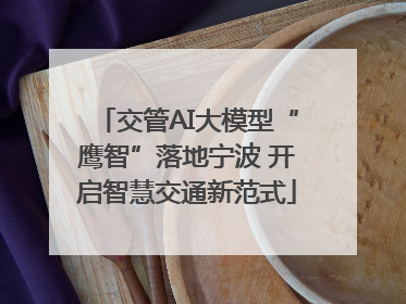 交管AI大模型“鹰智”落地宁波 开启智慧交通新范式