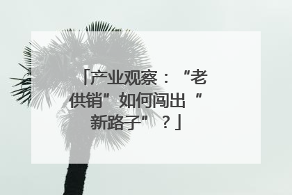 产业观察：“老供销”如何闯出“新路子”？