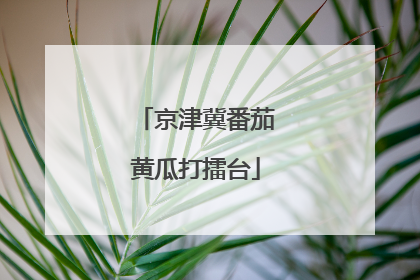 京津冀番茄黄瓜打擂台