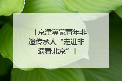 京津冀蒙青年非遗传承人“走进非遗看北京”