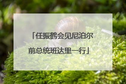 任振鹤会见尼泊尔前总统班达里一行