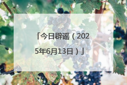今日辟谣（2025年6月13日）