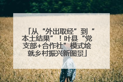 从“外出取经”到“本土结果”！叶县“党支部+合作社”模式绘就乡村振兴新图景