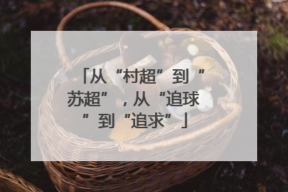 从“村超”到“苏超”，从“追球”到“追求”