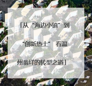 从“海边小镇”到“创新热土” 看温州翁垟的转型之道