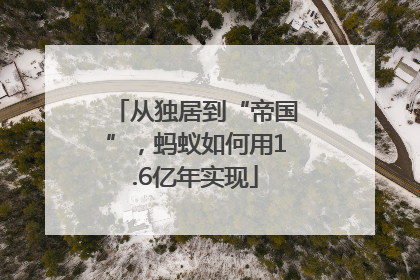 从独居到“帝国”，蚂蚁如何用1.6亿年实现
