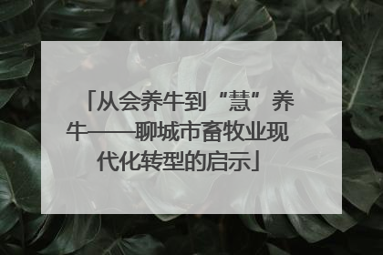 从会养牛到“慧”养牛——聊城市畜牧业现代化转型的启示