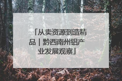 从卖资源到造精品｜黔西南州铝产业发展观察