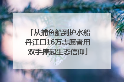 从捕鱼船到护水船 丹江口16万志愿者用双手捧起生态信仰
