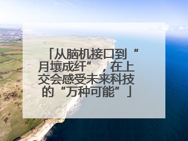 从脑机接口到“月壤成纤”，在上交会感受未来科技的“万种可能”