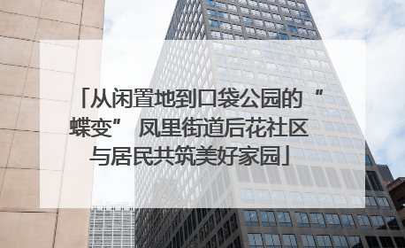 从闲置地到口袋公园的“蝶变” 凤里街道后花社区与居民共筑美好家园