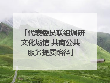 代表委员联组调研文化场馆 共商公共服务提质路径