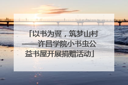 以书为翼，筑梦山村——许昌学院小书虫公益书屋开展捐赠活动