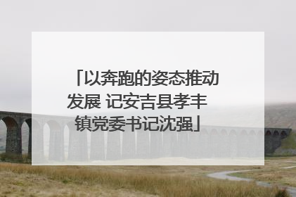 以奔跑的姿态推动发展 记安吉县孝丰镇党委书记沈强