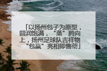 以扬州包子为原型，圆润饱满，“蒸”腾向上，扬州足球队吉祥物“包赢”亮相即售罄
