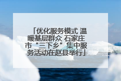 优化服务模式 温暖基层群众 石家庄市“三下乡”集中服务活动在赵县举行