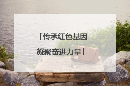 传承红色基因 凝聚奋进力量
