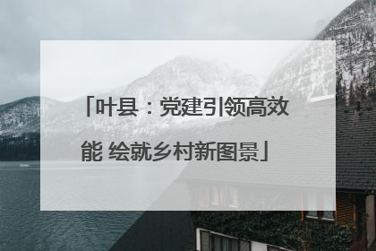 叶县：党建引领高效能 绘就乡村新图景